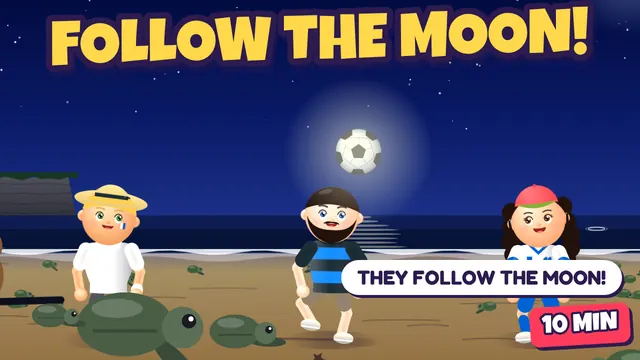 The Moonlight Turtle Race – Zakynthos, Greece