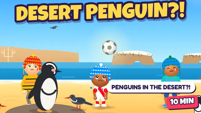 Desert Penguins – Paracas & Ballestas Islands, Peru